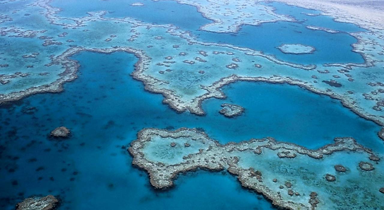 Great Barrier Reef Australia