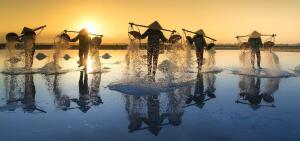 Vietnam Travel Guide