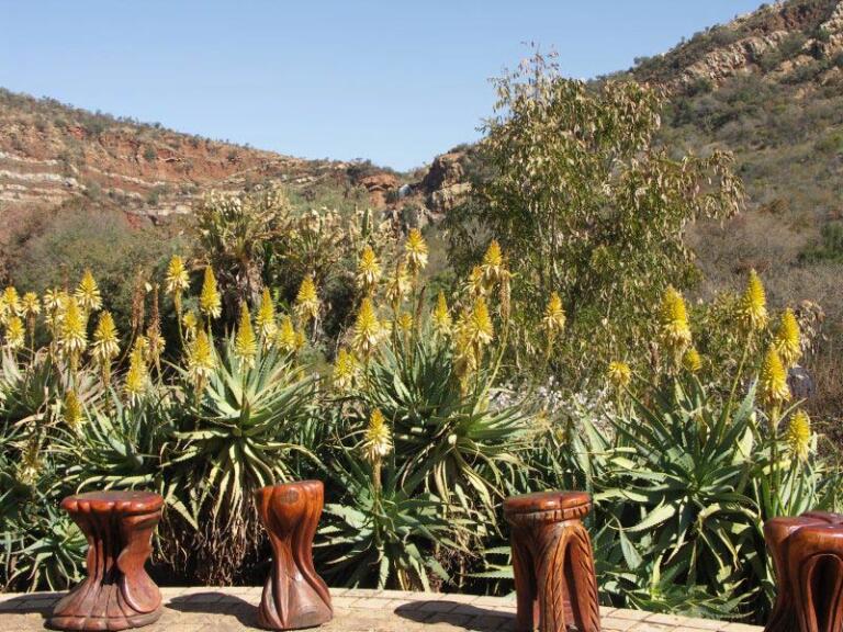 South Africa Johannesburg Walter Sisulu Botanical Gardens
