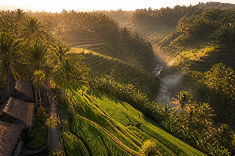 Bali Itinerary 2026: Ubud, Canggu, Uluwatu & the Gilis