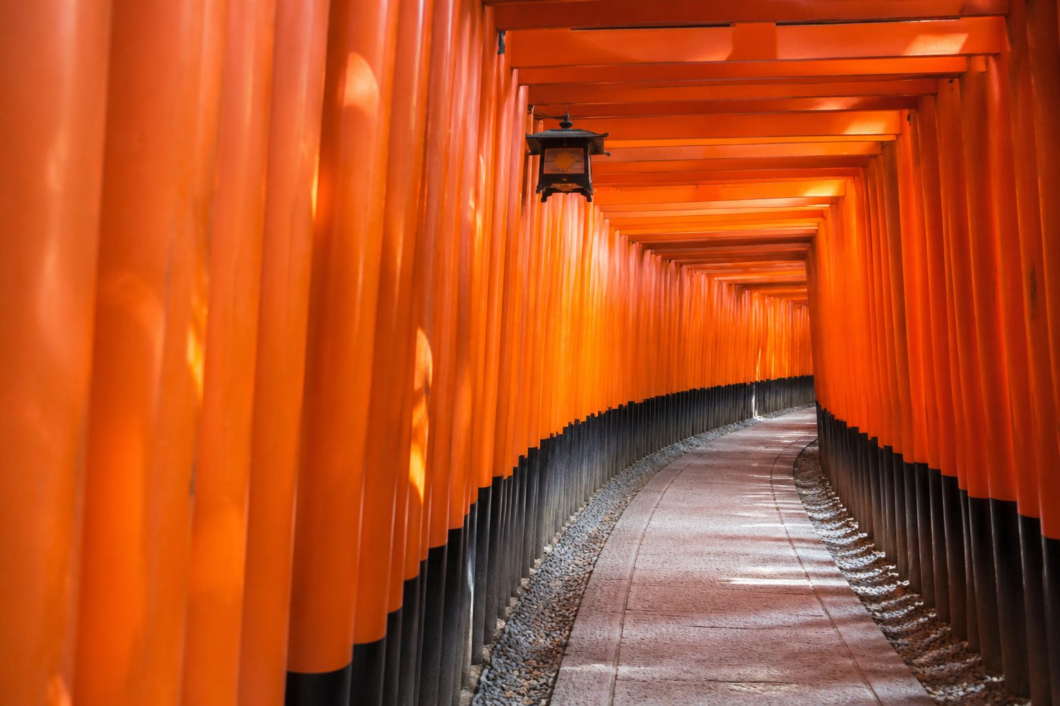 The Five Essential Temple Areas: Higashiyama, Arashiyama, Kinkaku-ji, Daitoku-ji, Fushimi