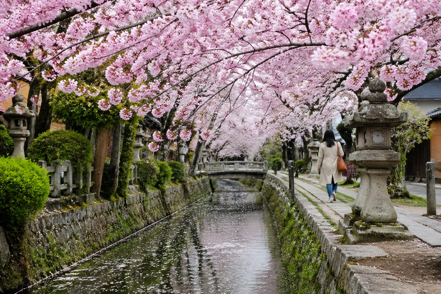 Best Time to Visit Kyoto: Cherry Blossoms, Autumn Leaves & Off-Season Reality
