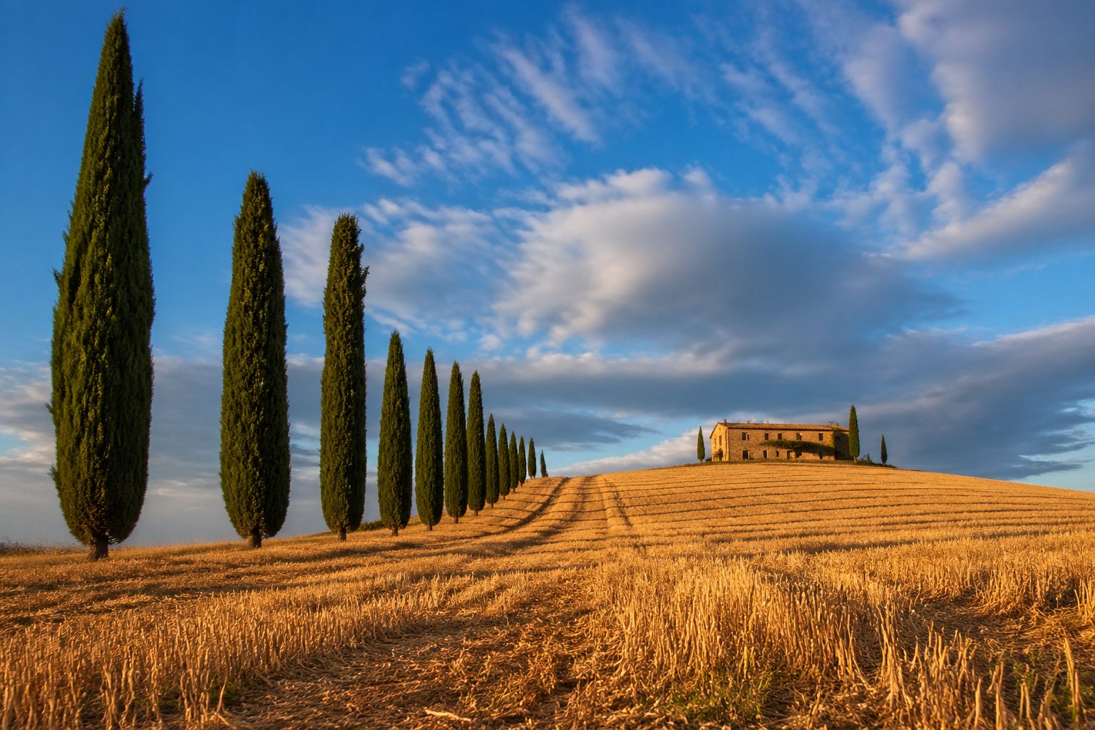 Vino Nobile di Montepulciano & Val d'Orcia